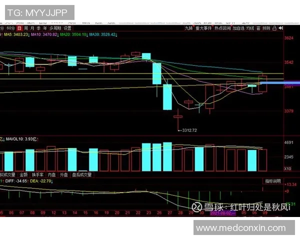 杭州羽毛球队与深圳羽毛球队赛后复盘分析比赛节奏与战术对比 杭州羽毛球队与深圳羽毛球队赛后复盘分析比赛节奏与战术对比