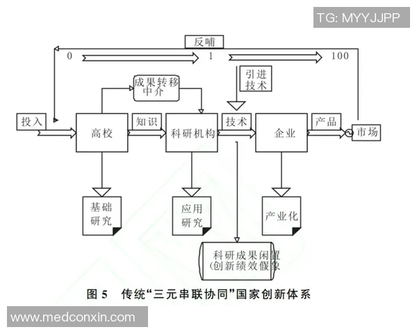 重庆排球队的进攻体系解析与排球战术创新探讨